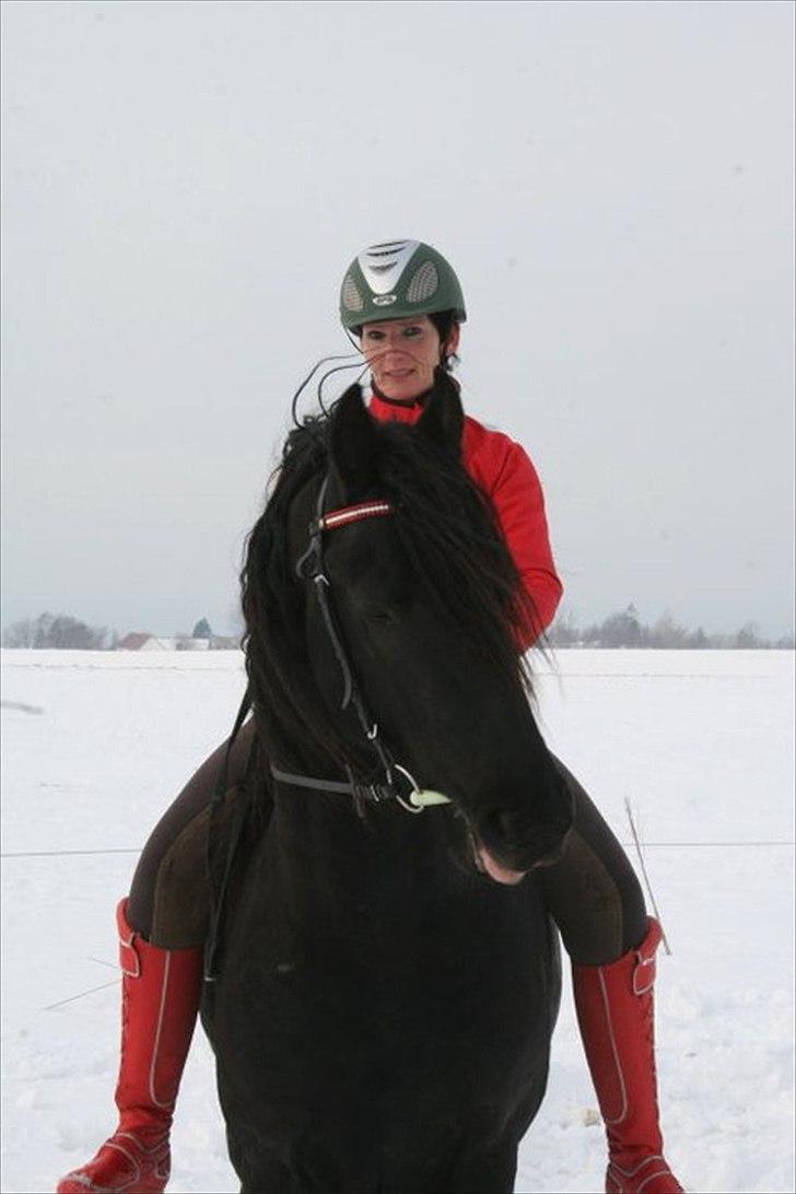 Frieser Zeus Fan Stennissegaard *SOLGT* billede 10