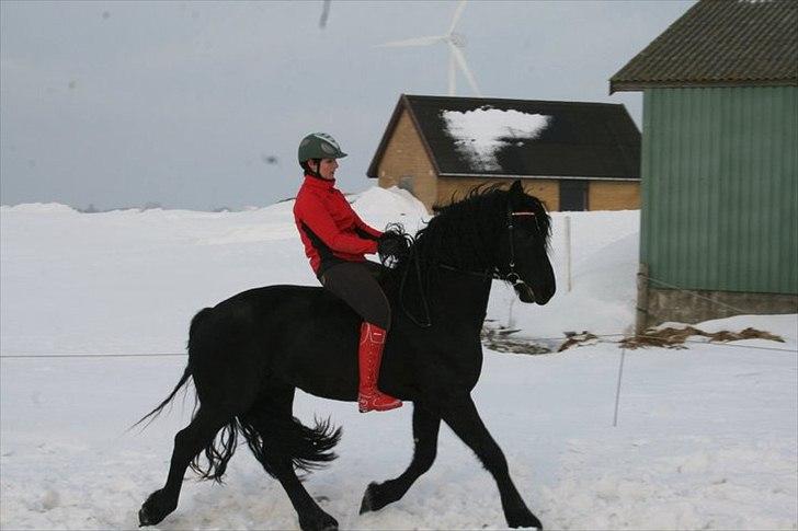 Frieser Zeus Fan Stennissegaard *SOLGT* billede 12