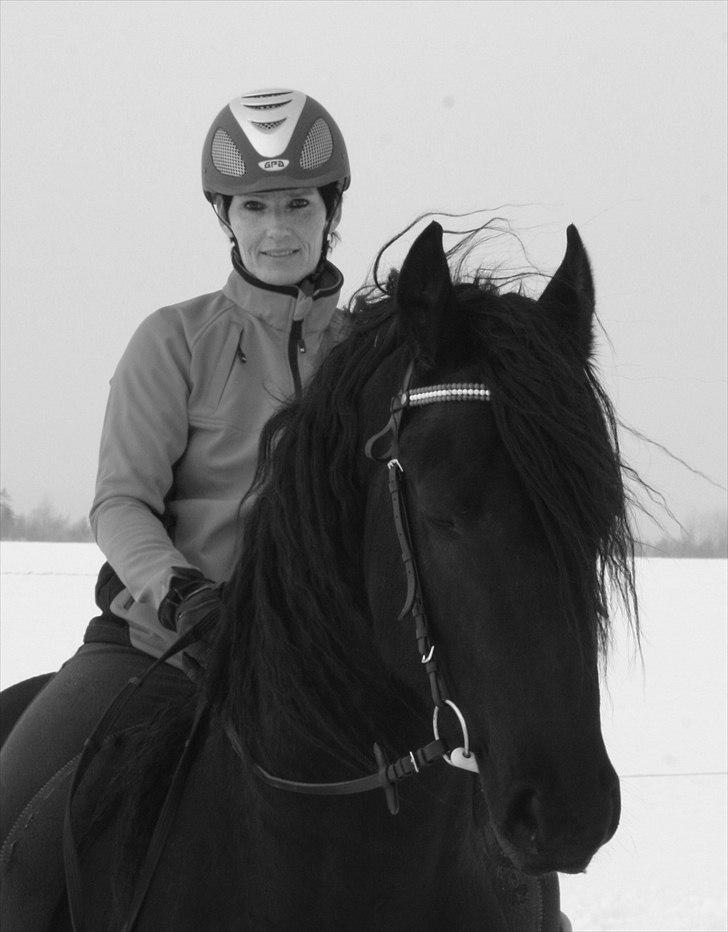 Frieser Zeus Fan Stennissegaard *SOLGT* billede 14