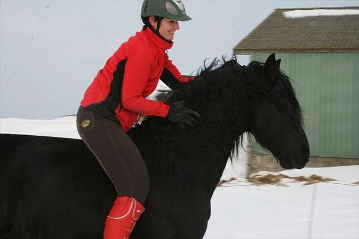 Frieser Zeus Fan Stennissegaard *SOLGT* billede 15