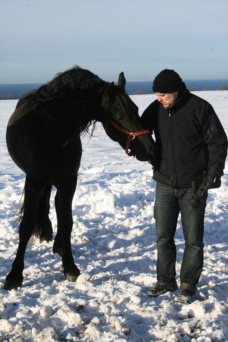 Frieser Zeus Fan Stennissegaard *SOLGT* billede 17