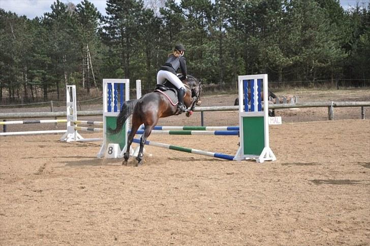 Traver Julius R.I.P :'( - Stævne på krt d. 18 april  billede 16