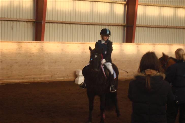 Anden særlig race Shiva <3 - Til præmieoverrækkelse 1 plads. :D <3 billede 9