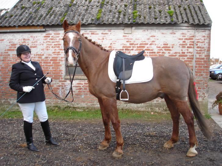 Anden særlig race Maxime de Chazelle* Død* - Max til stævne i Hyor 08-12-07 billede 7