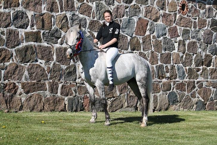 Welsh Cob (sec D) Athos/Mowgli - Athos og mig med en B0 roset,  en 2 plads og en 1 plads som vi vandt i hesteklasser. Det var en rigtig god weekend :D   Foto : mig billede 12