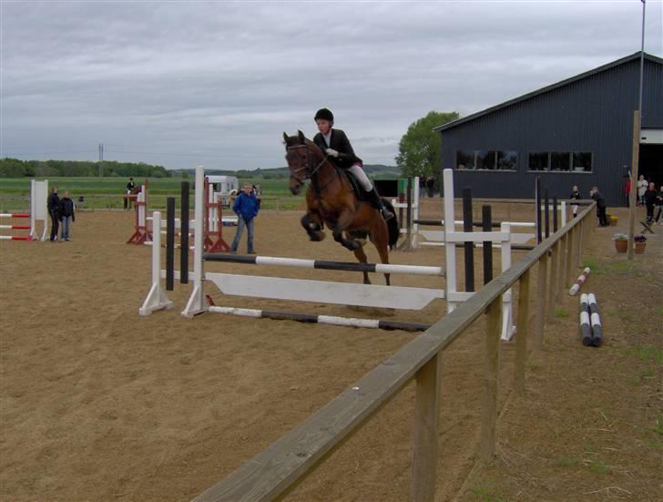 Arabisk fuldblod (OX) Bonick OX - R.I.P <3     - hop! hehe :b du min pony skat! <3 billede 9