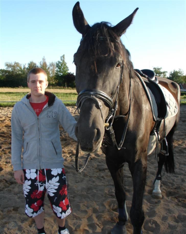 Hollandsk Varmblod Versace Ospa - de to jeg holder allermest af i verden<33 billede 9