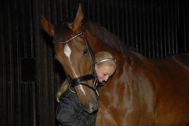 Dansk Varmblod CA-VA <3 R.I.P :'( - et par dage inde hun skal aflives :´( billede 6