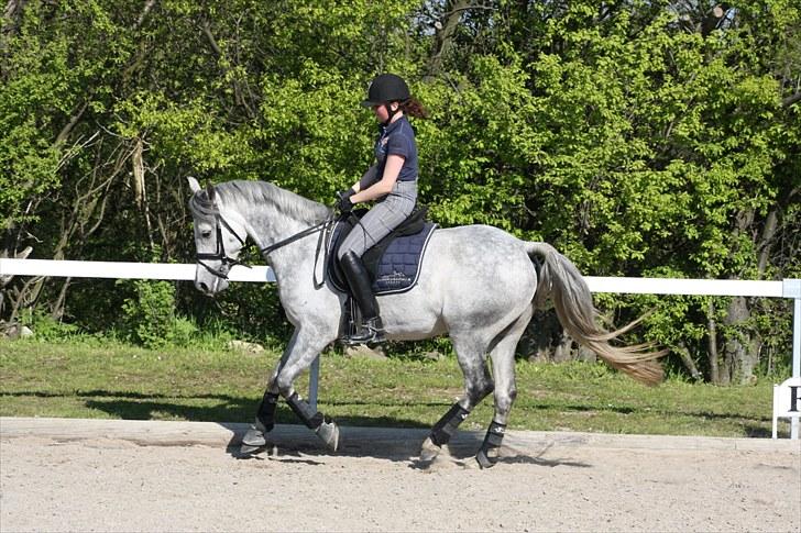 DSP Acia's Chanell billede 9