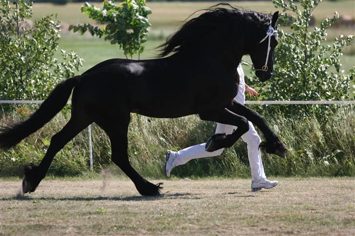 Frieser gart gejlbjerg - gart kåring 06 billede 6