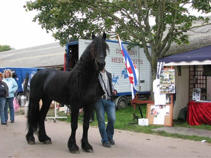 Frieser gart gejlbjerg - st hestedag 07 billede 7