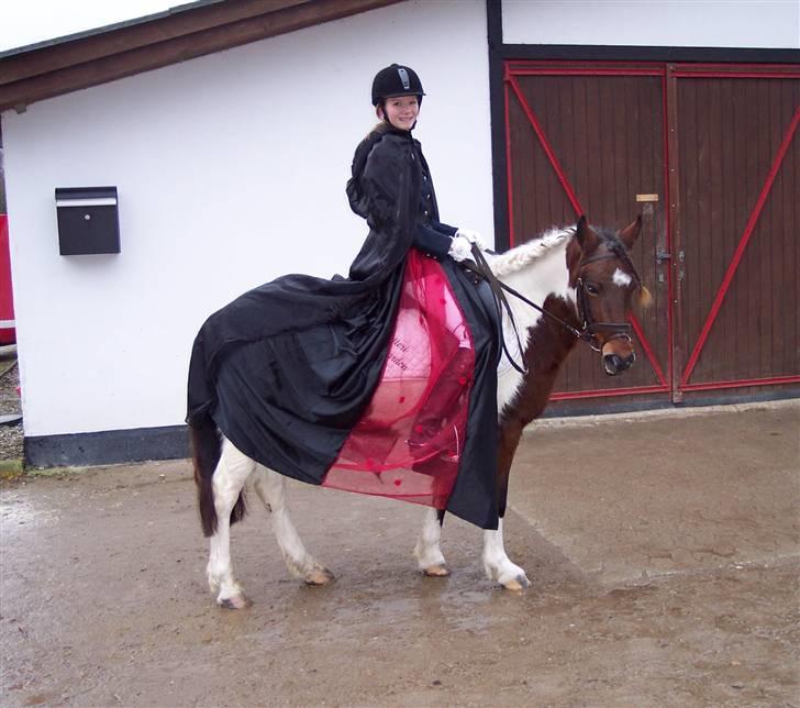 Anden særlig race Tamara - Efter Kür. Søde Tamara pony. ;-) billede 15