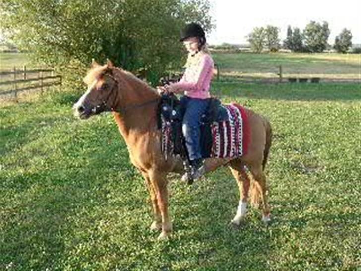 Anden særlig race Speedy Gonzales.. R.I.P - mig og speedy på clinik/kursus i 2003 mener jeg nok..<33 billede 1