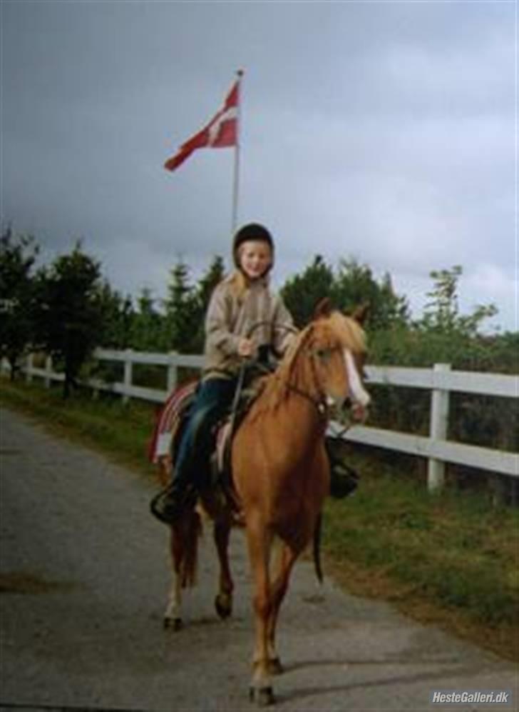 Anden særlig race Speedy Gonzales.. R.I.P - mit aller første stævne.. <33 kom på 4 pladsen.. <33 billede 2