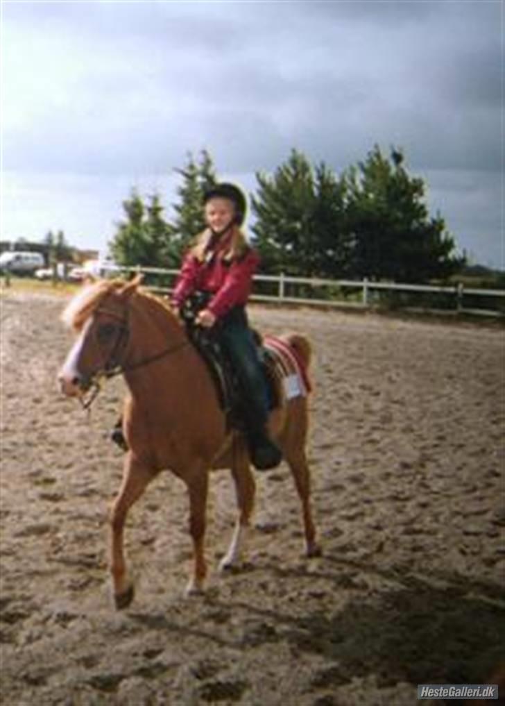 Anden særlig race Speedy Gonzales.. R.I.P - Så varmer vi op til vores første stævne sammen.. <33 billede 3