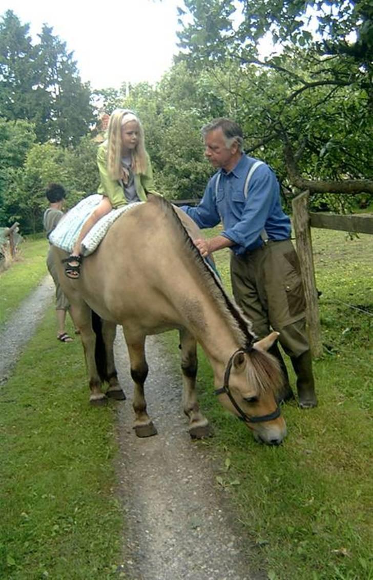 Fjordhest Hercules - Min onkel og min kusine... billede 17