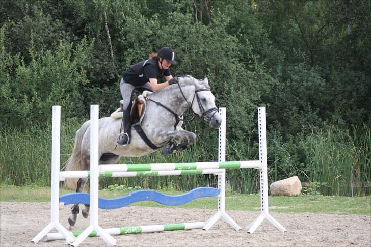 DSP Acia's Chanell billede 4