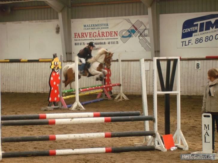 Pinto HOKUSPOKUS - Hokuspokus og jeg - stævne i SIR billede 20