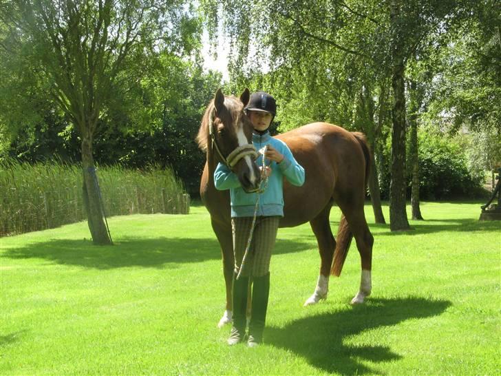 Hollandsk Sportspony filur  - Mig og Filur har lige redet billede 2