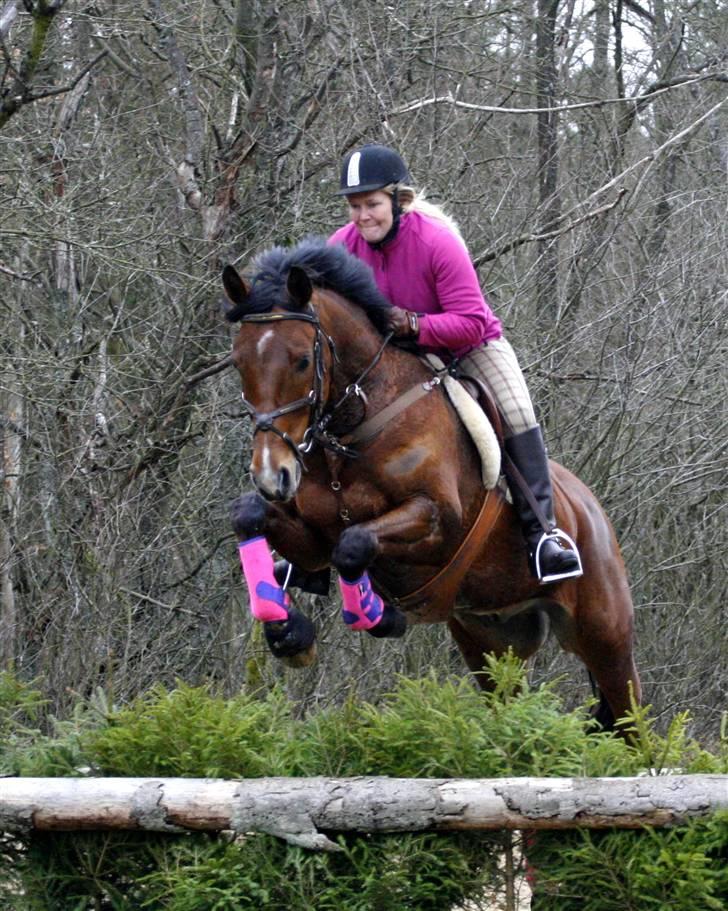 Anden særlig race Nightmare Macohl *RIP* - prøvetur i kompedal billede 17