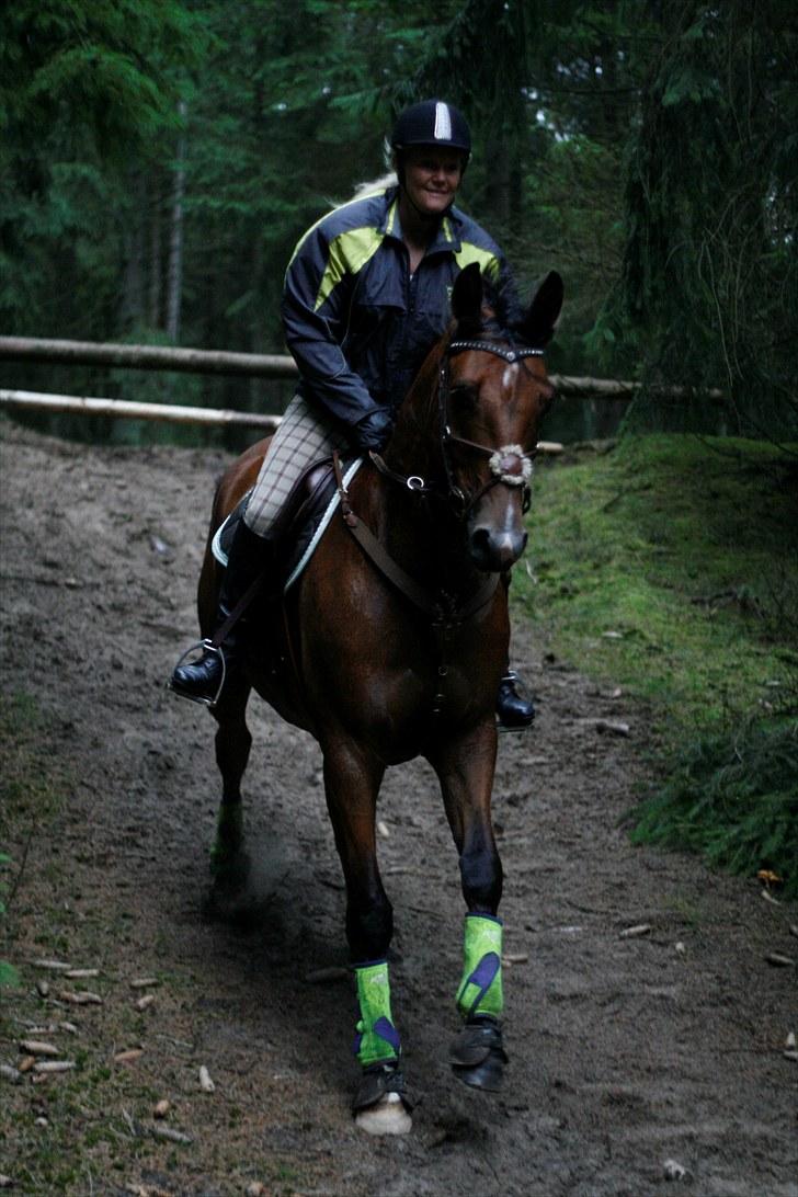 Anden særlig race Nightmare Macohl *RIP* billede 18