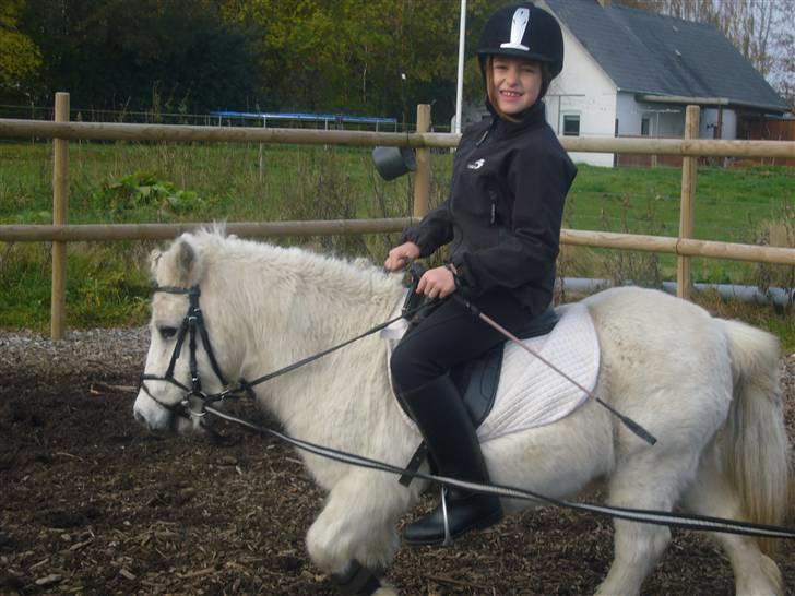 Shetlænder Jolly aflivet R.I.P:* - Silje og Jolly.. i longe! billede 19