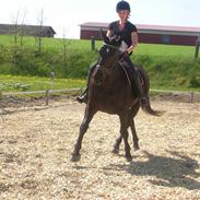 Oldenborg Columbine Højbogård