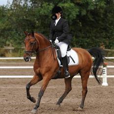 Anden særlig race Sunnie<3 † 30 nov. 2010 -