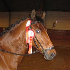 Anden særlig race Sunnie<3 † 30 nov. 2010 -