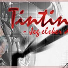 Welsh Pony (sec B) tintin<33