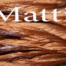 Islænder "Lille hest"