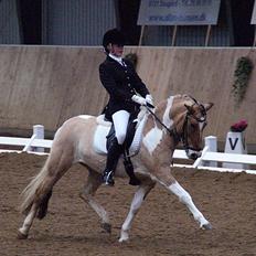 Anden særlig race Freja - A pony