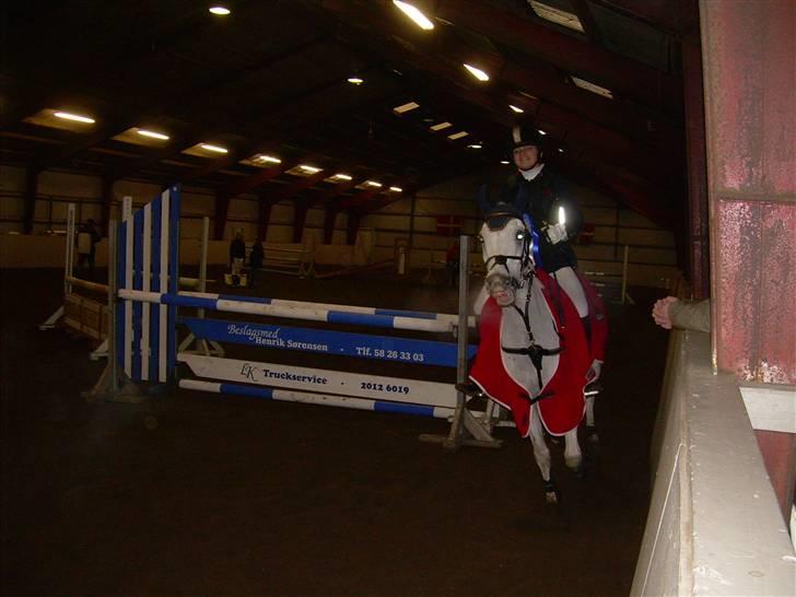 Anden særlig race David (tidl. pony) - Blev nr 2 LA med desværre 4 fejl og red 29,00 sek ( men hvis jeg rev den bom var jeg nr 1) billede 14