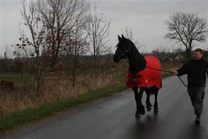 Frieser Karolyne J - 9/12-07: Karolyne traver lige sammen med "farmand"..   billede 17