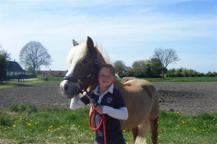 Anden særlig race » Miss Movie Star | SOLGT - <´3 billede 7