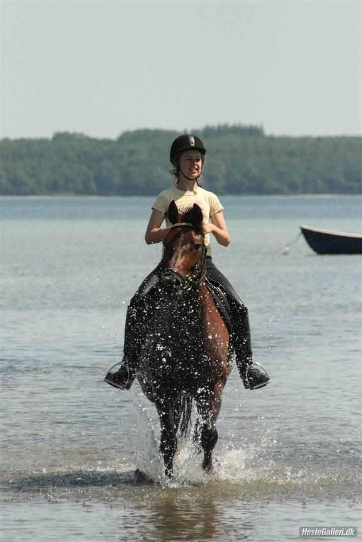 New Forest Ganymedes Dyrekjær - d. 8 juni :D billede 17