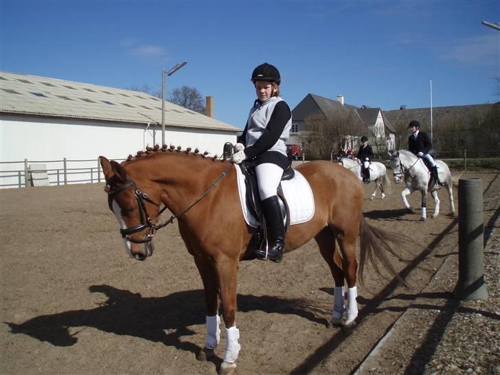 DSP Jet´aime<3 - Her er mig og min dejlige pony  til stævne i midt als. :D billede 5
