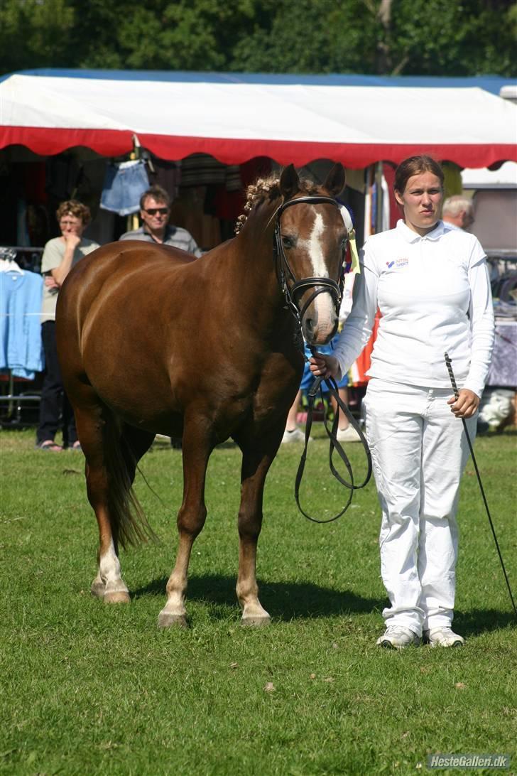 New Forest Folehaves Nathali * klubmester i spring 2013* - gørlev d.8 juli 2007 billede 11