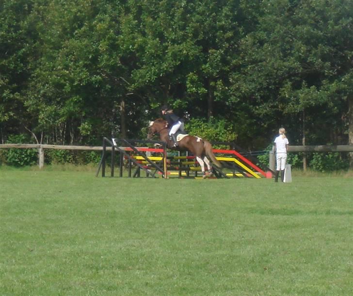 Anden særlig race pento<3 SOLGT :'( billede 19