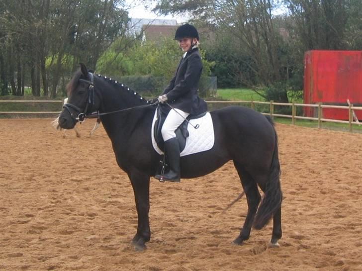 New Forest Lotte - du er min og kun MIN ! <3 billede 2