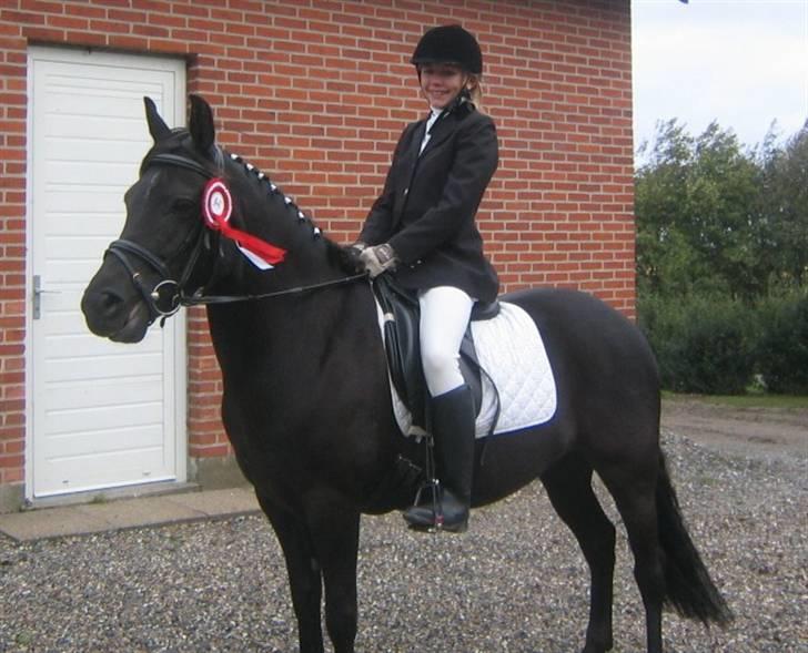 New Forest Lotte - Første stævne for os begge (: <3 du gjorde det så godt Lotte! bedre end forventet <3 billede 3