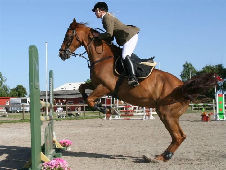 Holstener Allerbester 0004 - Foto: Kim Bahnsen billede 2