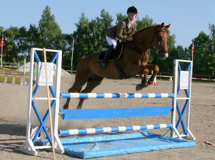 Holstener Allerbester 0004 - Over vand. Foto: Kim Bahnsen billede 3