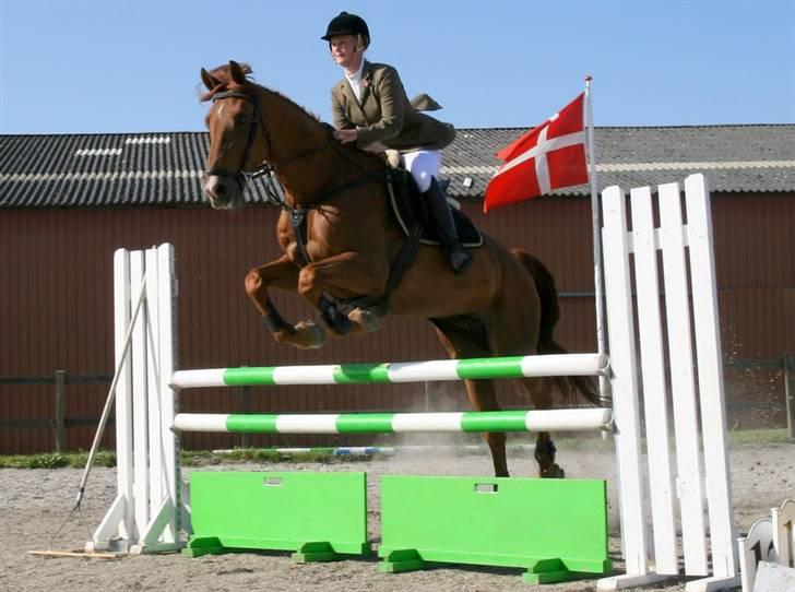Holstener Allerbester 0004 - Springstævne i Kongelunden. Foto: Kim Bahnsen billede 4
