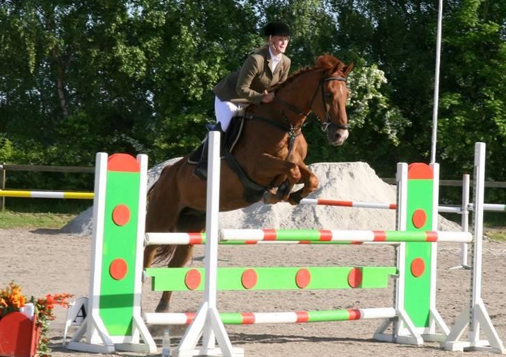 Holstener Allerbester 0004 - Dobbelt spring. Foto: Kim Bahnsen billede 5