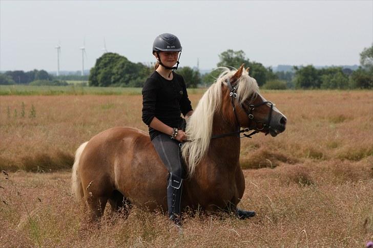 Anden særlig race » Miss Movie Star | SOLGT - Fordi det var vores sidste tur på marken sammen! )-´: <33 billede 11