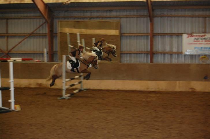 Anden særlig race » Miss Movie Star | SOLGT - Spring! ;) billede 12