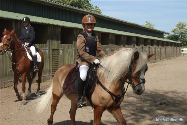 Anden særlig race » Miss Movie Star | SOLGT - CHEES. XD billede 14