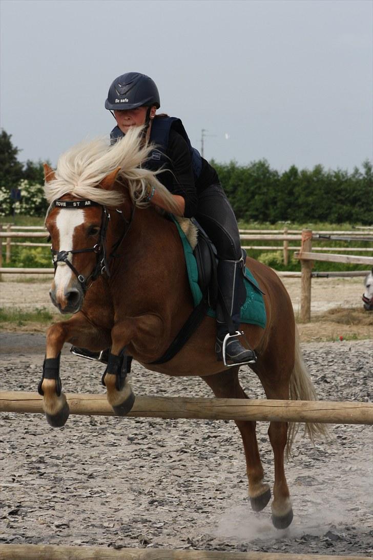 Anden særlig race » Miss Movie Star | SOLGT - Fordi det var vores sidste spring sammen )-´: <33 billede 16