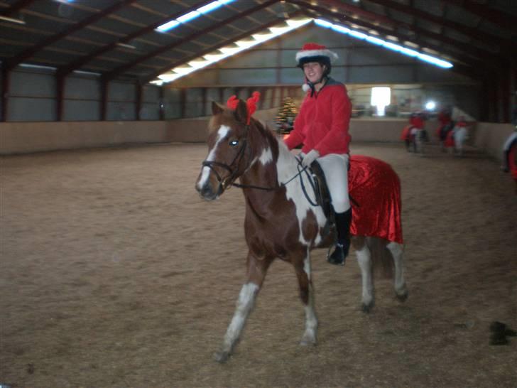 Anden særlig race Samson - Så er vi Til JuleShow På Fak_!  Og vi Skal Da ride NisseKvadrilie. ! billede 4